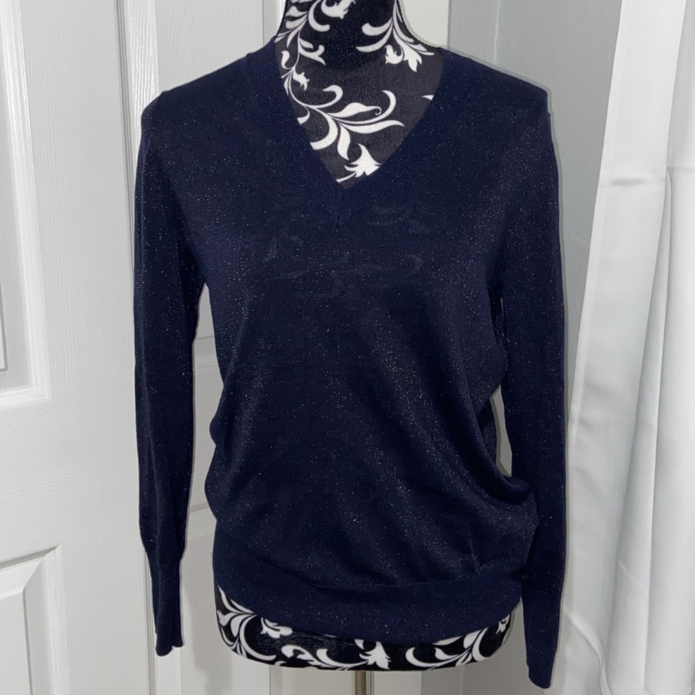 Gap blue glitter sweater